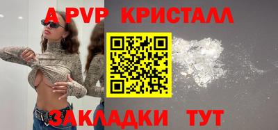 мдпв Кингисепп