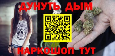 мдпв Кингисепп