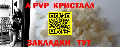 мдпв Кингисепп