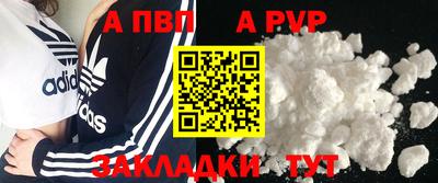 мдпв Кингисепп