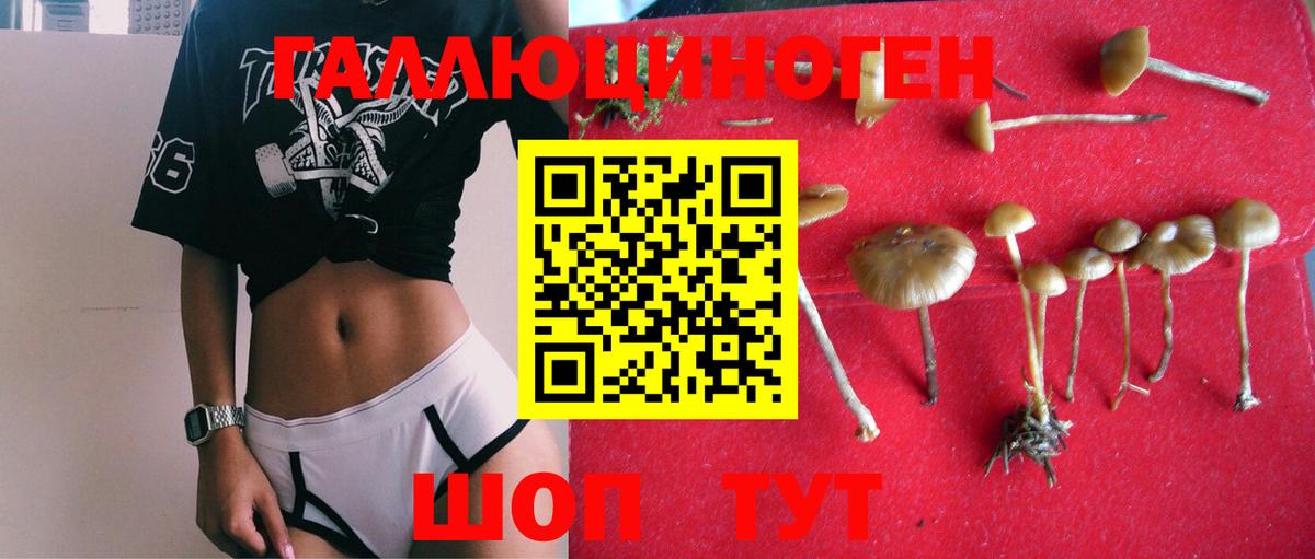 Галлюциногенные грибы GOLDEN TEACHER Конаково