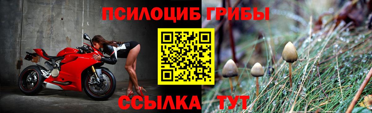 Конаково  Псилоцибиновые грибы MAGIC MUSHROOMS  Вход с VPN 