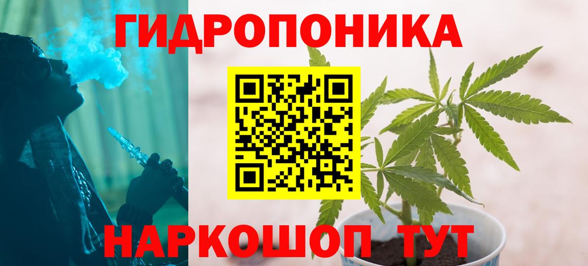 Шишки марихуана ГИДРОПОН  Вход с VPN  Каннабис OG Kush  Конаково  Марихуана планчик 